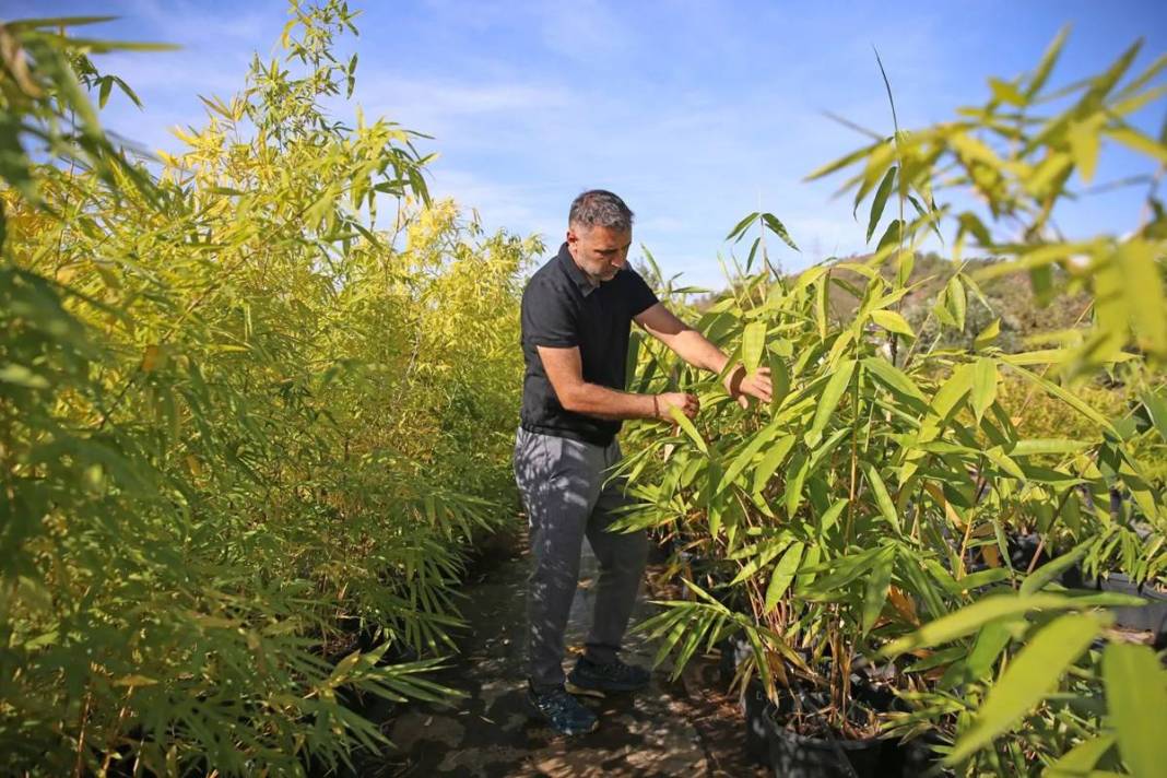 Balkonda eğlencesine yetiştirmeye başlamıştı, şimdi dev fidanlık kurdu! Paraya para demiyor, nereden nereye... 10